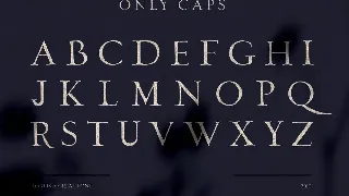 Loki - Free Sans Serif Brush Font