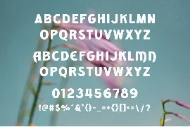 Rumikon - Modern Display Sans Serif font