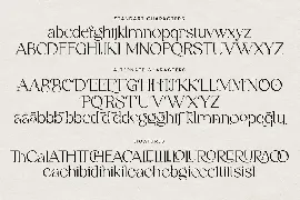 Robecha Daniera - Elegant Serif font