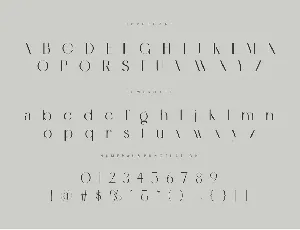 Gaolne Elegant Sans Serif Font