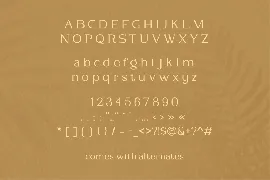 Soabally - Stylish Serif font