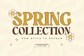 Garden - Unique Groovy Vintage Serif font