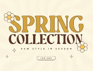 Garden - Unique Groovy Vintage Serif font