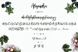 Alesandra Calligraphy Business Font