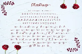 Shaking - Organic Calligraphy Font