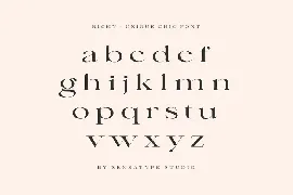 Richy - Unique Chic Font