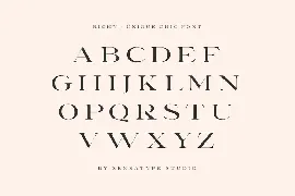 Richy - Unique Chic Font