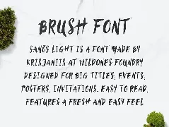 SanÃ¶s Brush Script Font