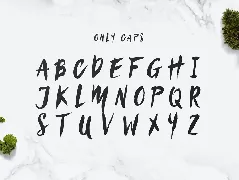 SanÃ¶s Brush Script Font