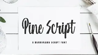 Pine Script font