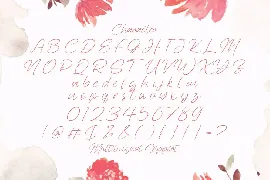 Awejatty - Handwritten Font