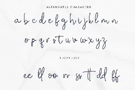 Bethany Signature - Handwritten Script Font