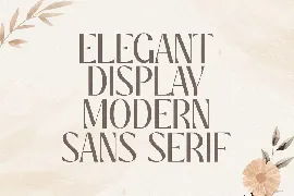 Serenity - Luxury Elegant Beauty Font