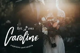 Melvina Wayne - Luxury Script Font