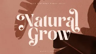 Malfin - Love Luxury Cursive Serif font