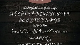 Mardyans | Unique Naturaly Handwritten Font