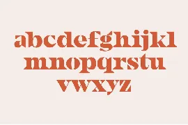 Metridat Fonts DUO Set