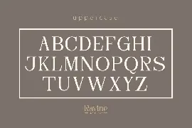 RAVINE - Modern Serif font