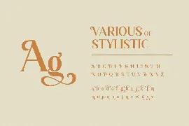 Vintage Serif Font