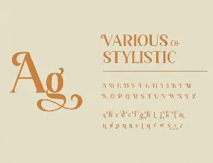 Vintage Serif Font