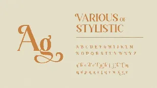 Vintage Serif Font