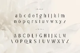 Royal - Modern Unique Display Font