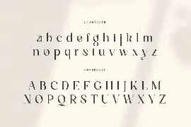 Magnolia - Modern Display Serif Font