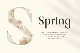 Magnolia - Modern Display Serif Font