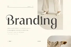 Magnolia - Modern Display Serif Font