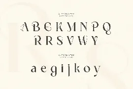 Magnolia - Modern Display Serif Font