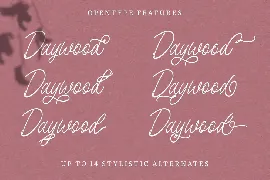 Birdspring Signature font