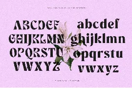 Klore | Vintage Display font