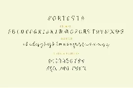 Benallda Fortesta Duo Font