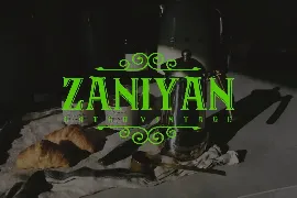 Zaniyan Catch - Vintage Font