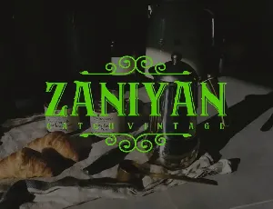 Zaniyan Catch - Vintage Font