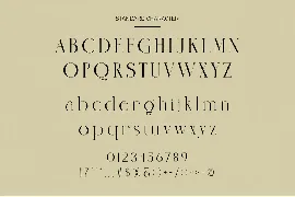 Nindea Modern Ligature Serif font