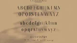 Mignitte Elegant Ligature Serif font