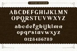 The Foldnick - Vintage Serif Font