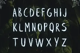 Leafy Brush Font