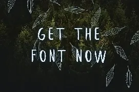 Leafy Brush Font