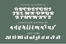 Night Michy font