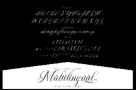 Brainly Script font