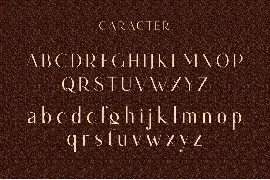 Garaigit Ligature Sans Serif font