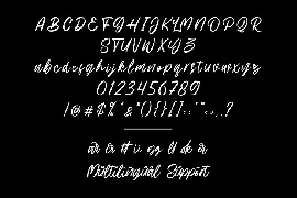 Hillbear - Handbrush Script Font