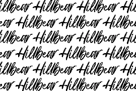 Hillbear - Handbrush Script Font