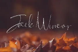 Feallici Script Font