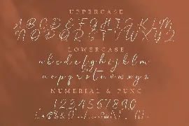 Estela Silva - Handwritten Font