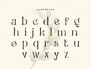 Ceria - Modern Vintage Font