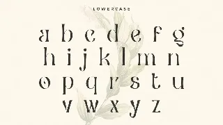 Ceria - Modern Vintage Font