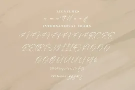 Bermingham Diamond Modern Signature Font